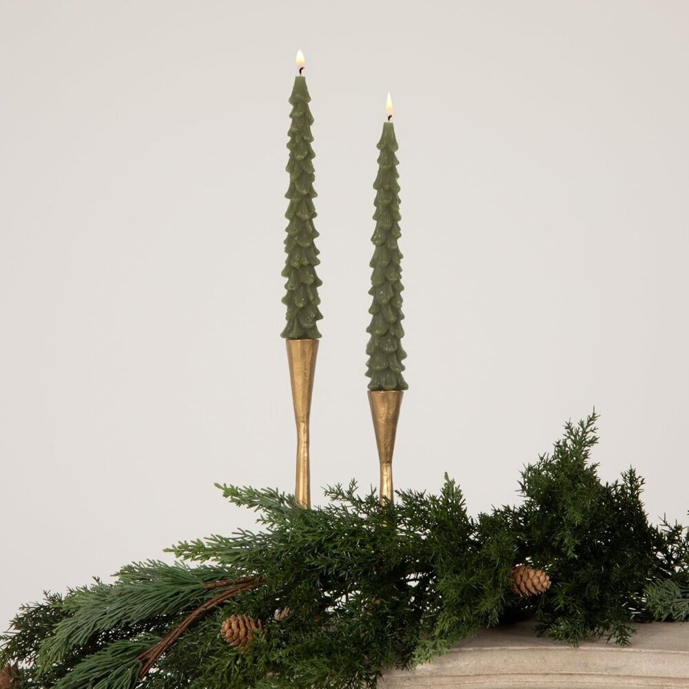 Unscented Tree Shaped Taper Candles, Evergreen, Boxed Set Of 2 - Picture 2 of 3